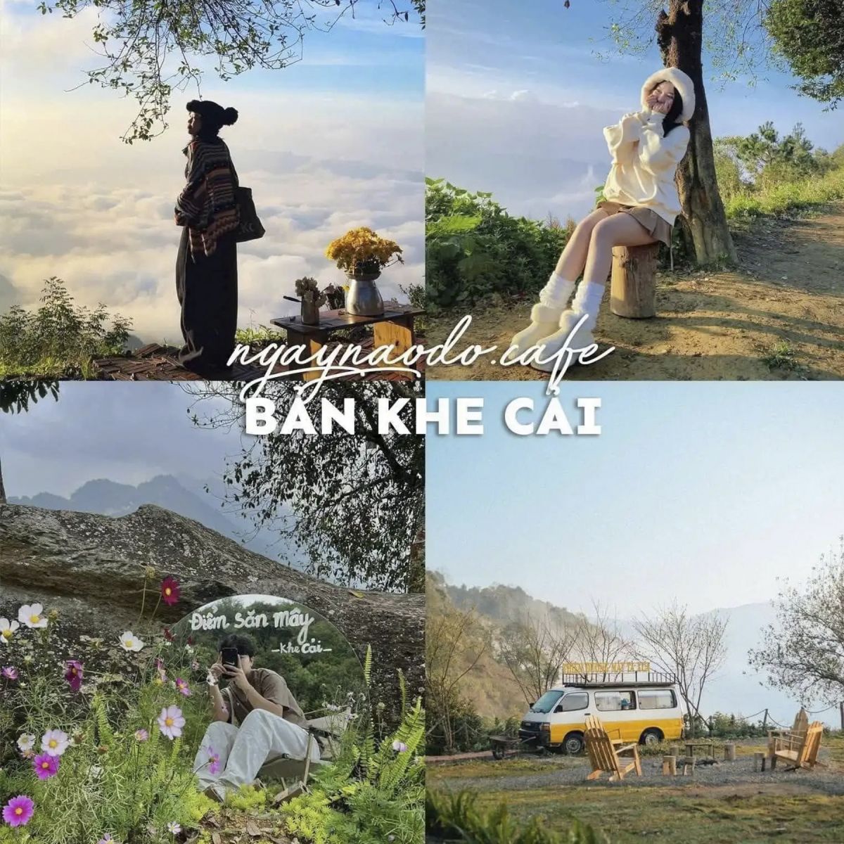 Top quán café săn mây đẹp nhất Tà Xùa 