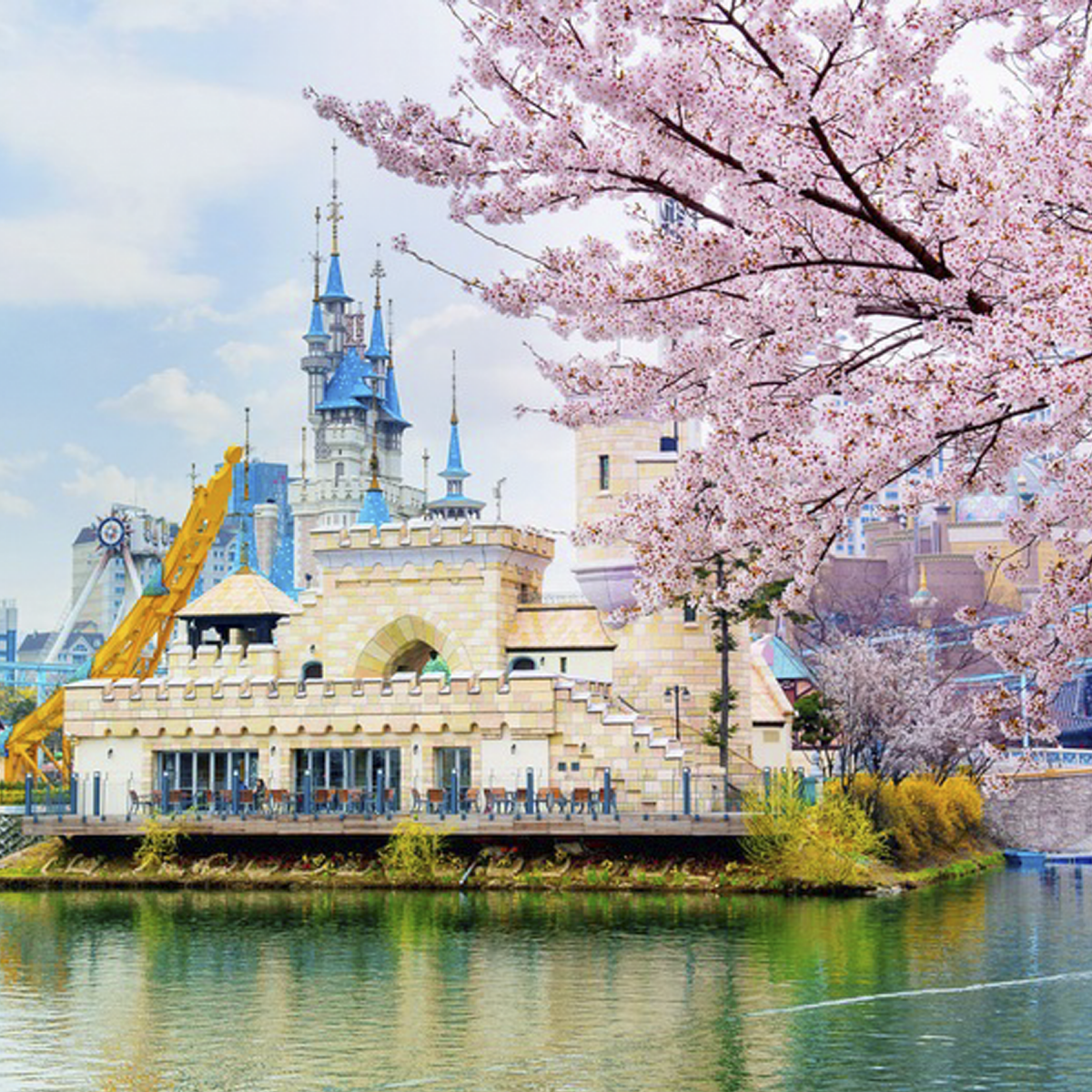 Du lịch Tết 2026 ở xứ sở kim chi>