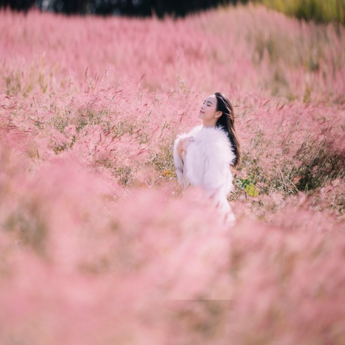 Siêu hời đi Đà Lạt check in “3 mùa” hot hit 