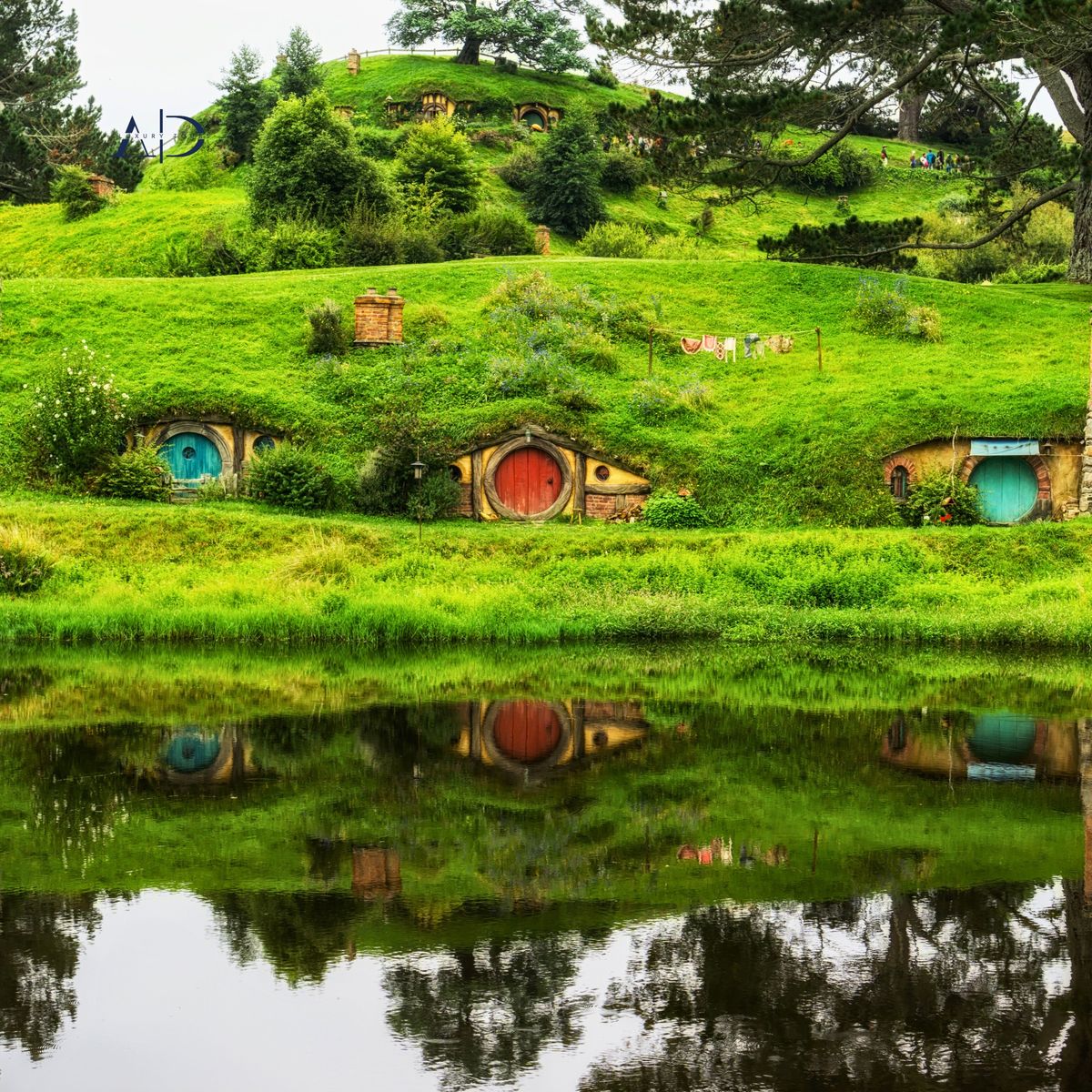 DU LỊCH NEW ZEALAND – VÙNG ĐẤT CỦA DẢI MÂY TRẮNG (ĐẢO BẮC)