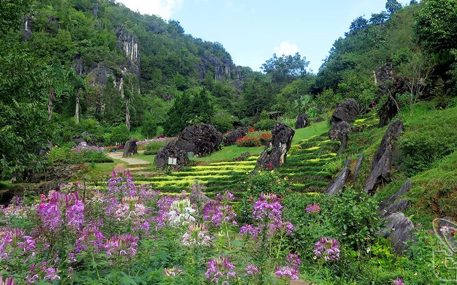 Tour Du Lịch Sapa (2 ngày 1 đêm)>