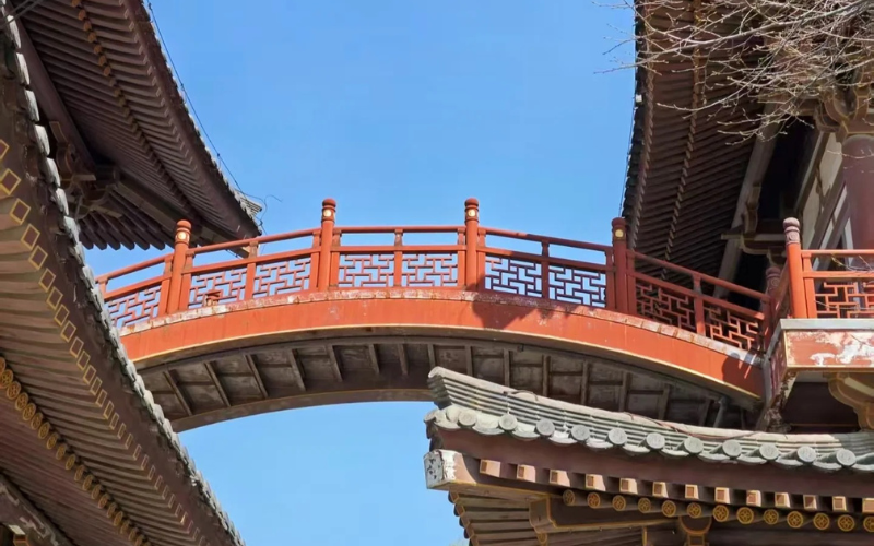 HÀNH TRÌNH KHÁM PHÁ SẮC XUÂN CỐ ĐÔ TÂY AN>