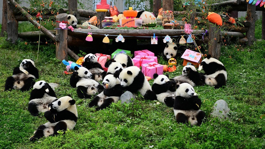 TOUR TRÙNG KHÁNH - THÀNH ĐÔ - CỬU TRẠI CÂU 6N5Đ NEW>