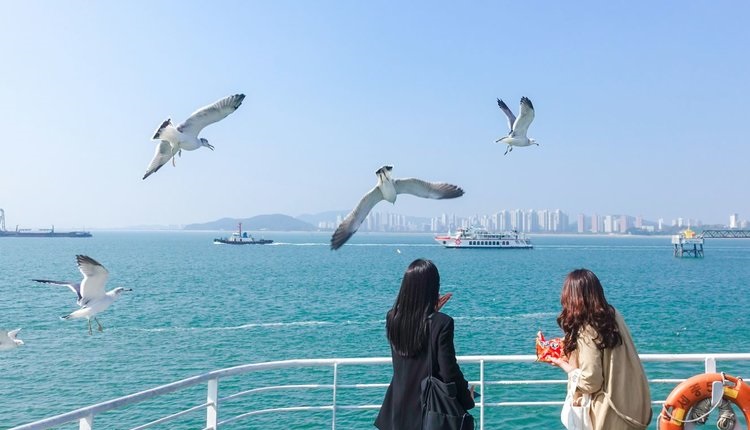 Khám phá Hàn Quốc mùa hoa anh đào 6N5Đ>