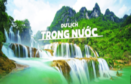 Tour trong nước
