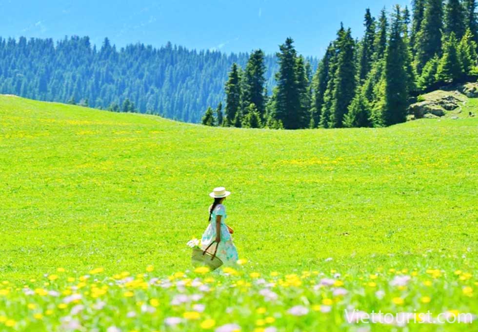 BẮC TÂN CƯƠNG 9N8Đ>