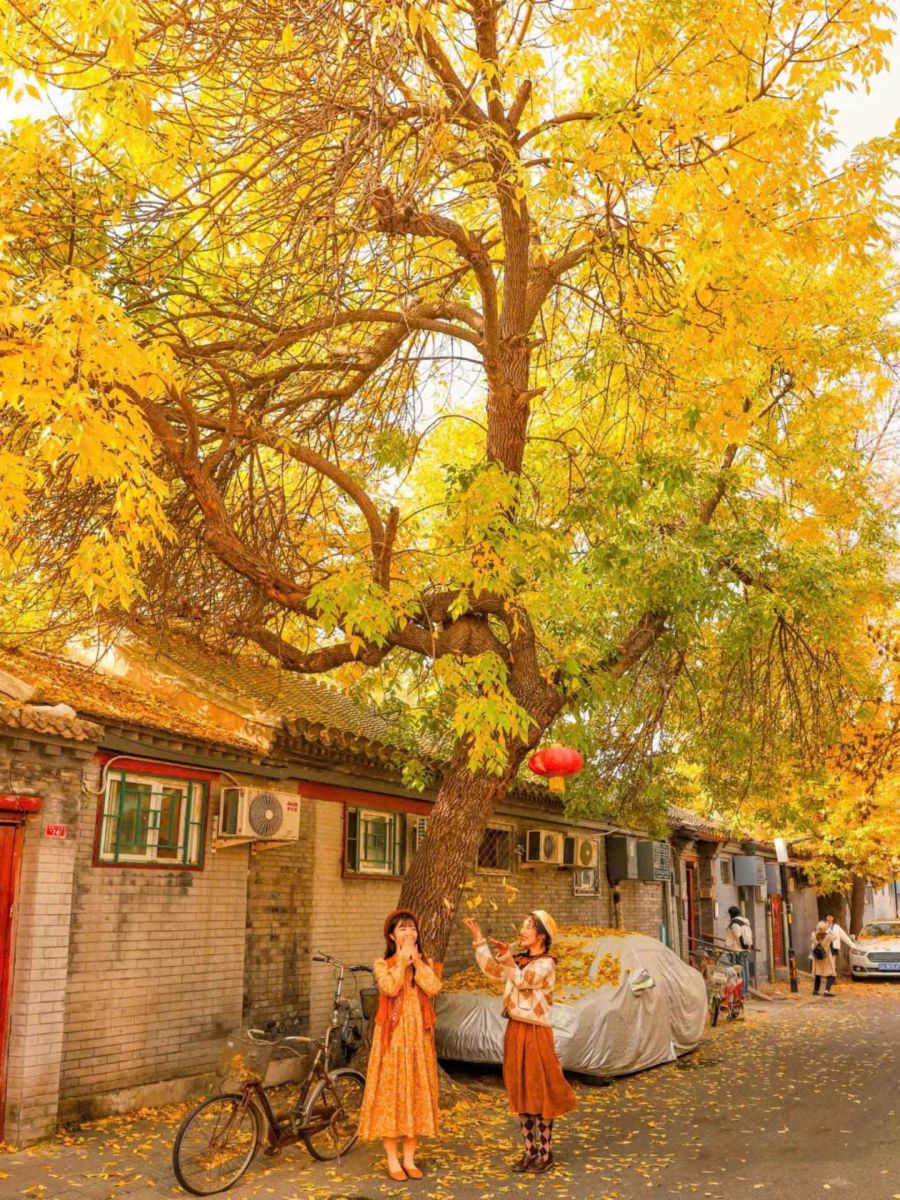 du-lich-trung-quoc-bac-kinh