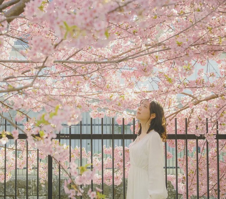 DU LỊCH TRUNG QUỐC:  THÀNH ĐÔ - CV GẤU TRÚC