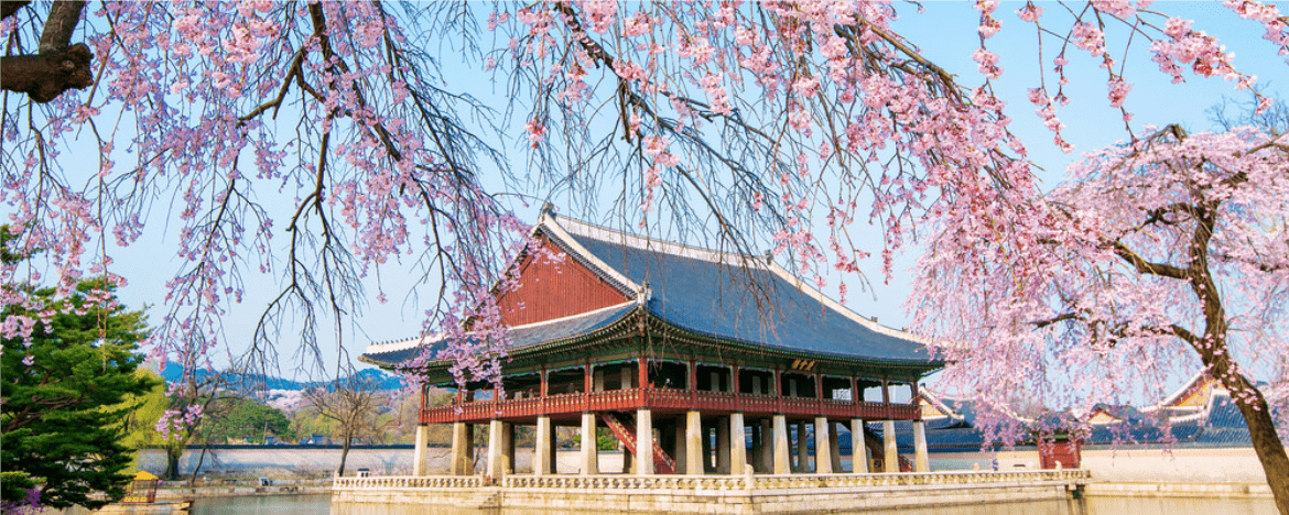 HƯNG YÊN - SEOUL - YANGJIPINE EVERLAND - HƯNG YÊN>