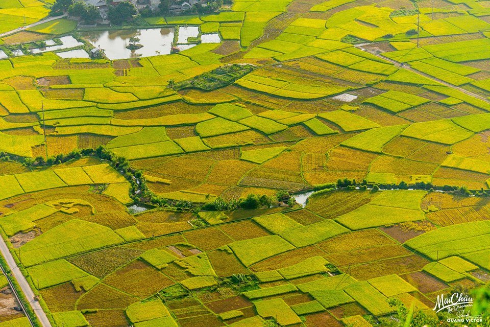 Lên lịch về Mai Châu ‘mùa em thơm nếp xôi’
