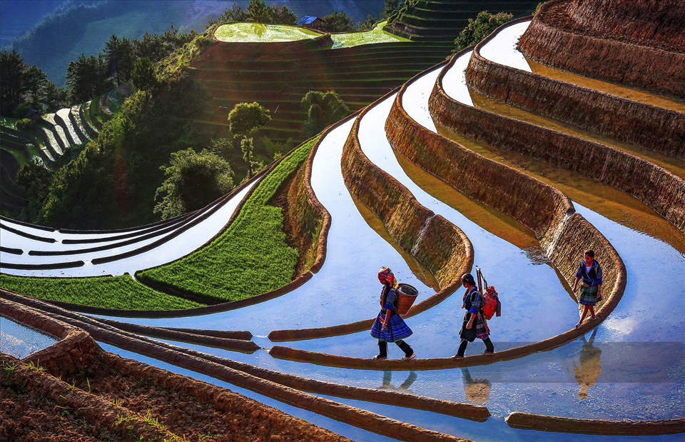 Hưng Yên - Mù Cang Chải - Hưng Yên>