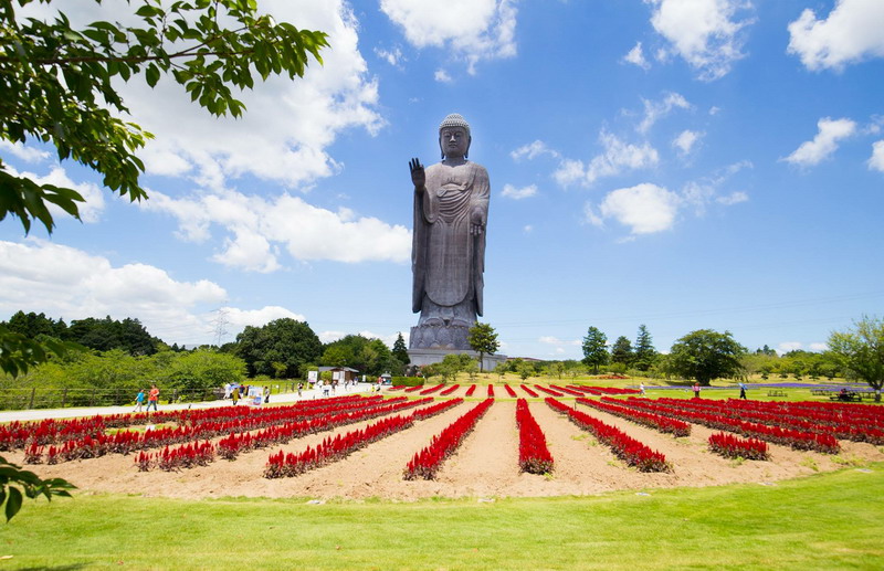 Vẻ Đẹp Việt giới thiệu sản phẩm mới “Nhật Bản - Cung đường kim cương”