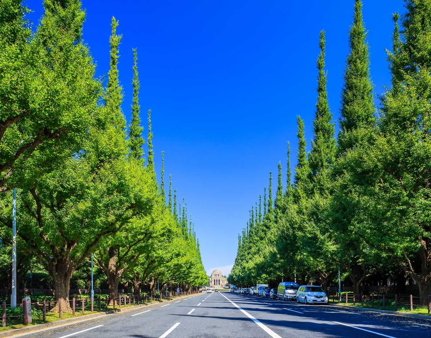 Du lịch Nhật Bản mùa thu 6n5đ>