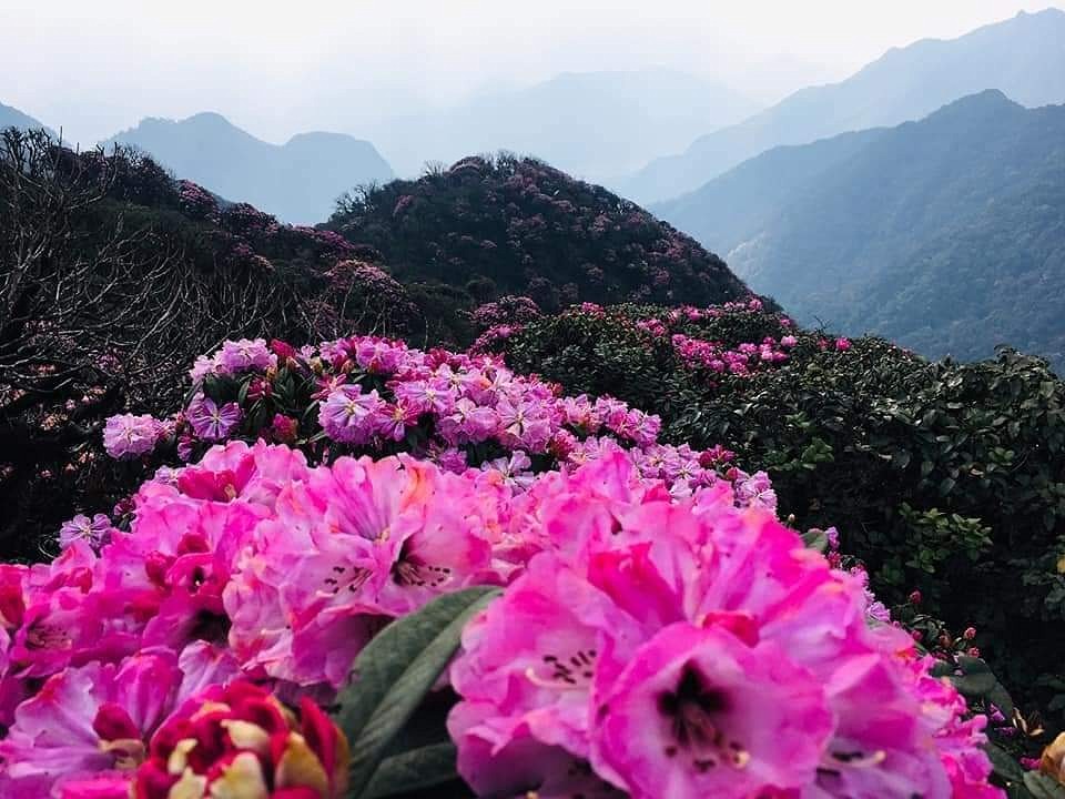 Những ngọn núi gập ghềnh nhất Việt Nam