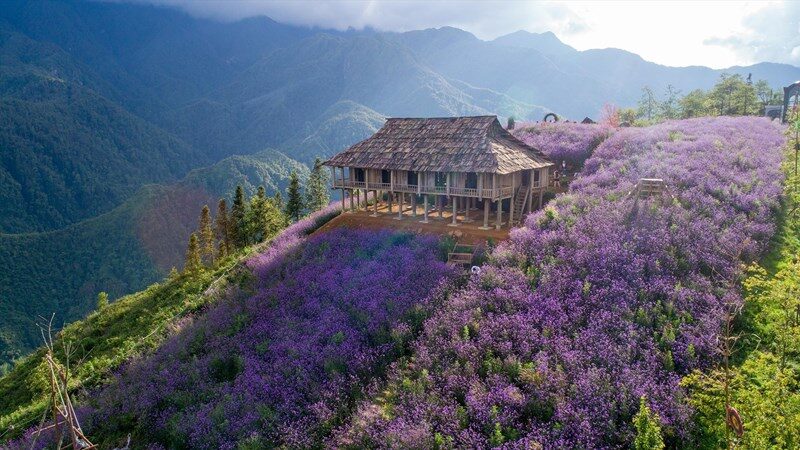 HƯNG YÊN – SAPA – HƯNG YÊN>