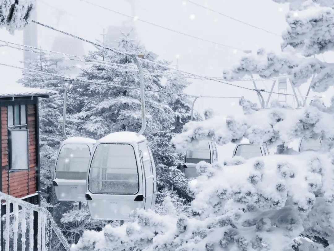 Mùa đông kỳ diệu tại núi tuyết Kiệu Tử 