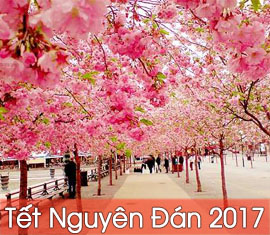 Tour du lịch Nhật Bản 6 ngày 5 đêm mùng 3 Tết Đinh Dậu