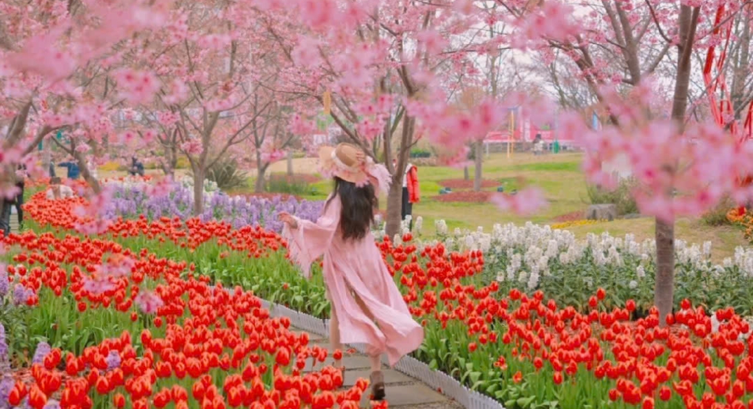 DU LỊCH TRUNG QUỐC:  THÀNH ĐÔ - CV GẤU TRÚC>